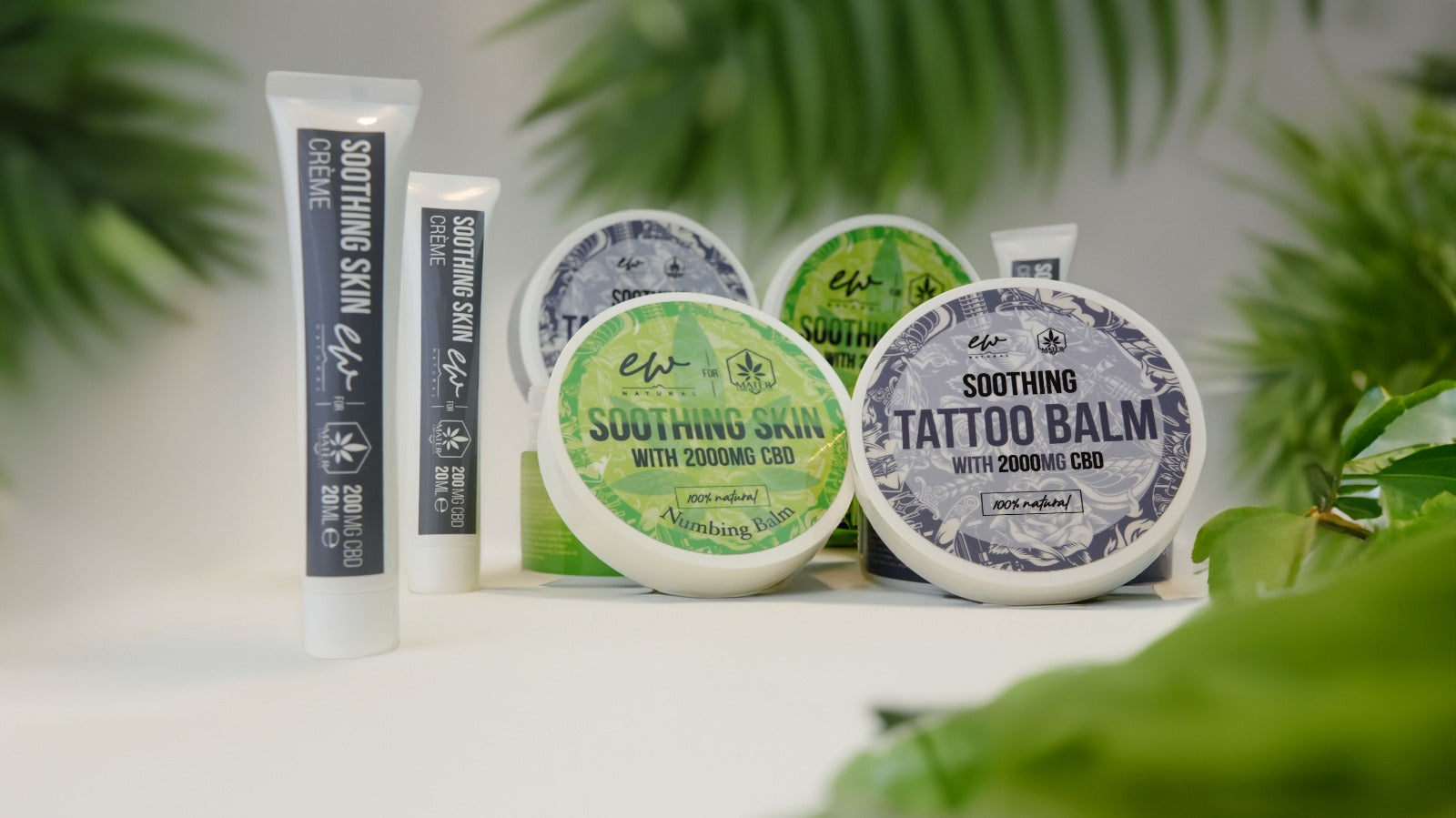 STARTER PACK - PACK PROMOTIONNEL